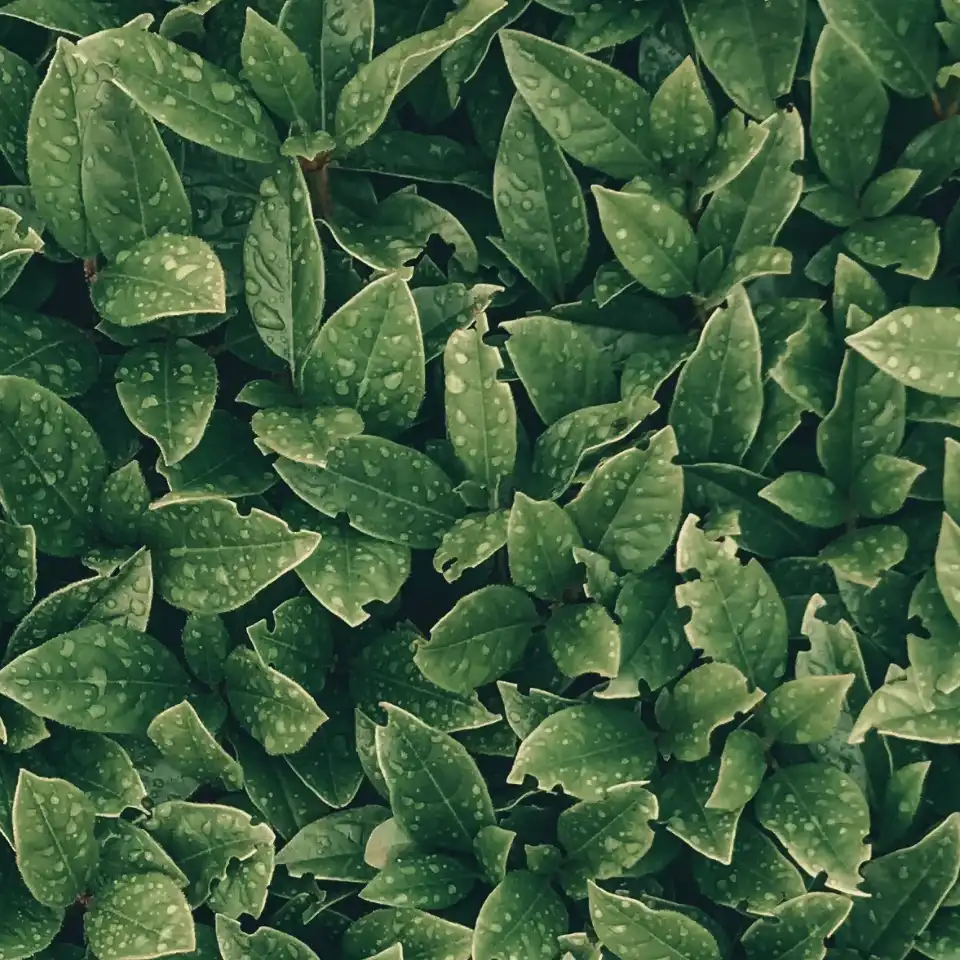 INVISIO-sustainability-960x960px