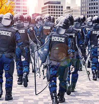 Police Japan 389X408px