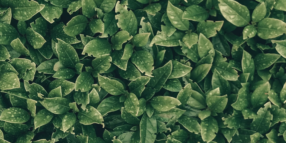 INVISIO-sustainability-960x480px